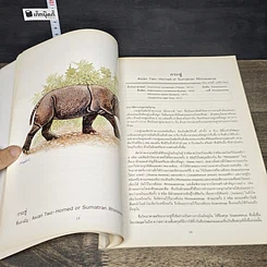 หนังสือ สัตว์ป่าสงวนของไทย รูปที่ 9