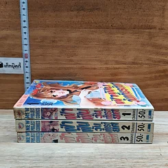 หนังสือ ฝ่าฝันวันเกียรติยศ 3 เล่มจบ รูปที่ 3