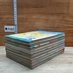 หนังสือ หนุ่มไฮโซกับสาวใช้ไฮเทค 9 เล่มจบ รูปที่ 3