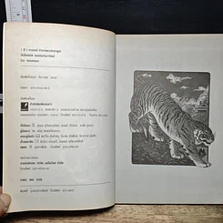 หนังสือ 7 สี 7 อารมณ์ ทำนายดวงชะตาคุณ ปีเสือทมิฬ วันอาทิตย์ รูปที่ 6