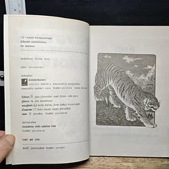 หนังสือ 7 สี 7 อารมณ์ ทำนายดวงชะตาคุณ ปีเสือทมิฬ วันอังคาร รูปที่ 6