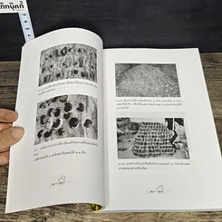 หนังสือ คัมภีร์สยบความจนขยายพันธุ์ไม้เชิงธุรกิจ รูปที่ 7