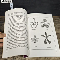 หนังสือ คู่มือการปลูก กล้วยไม้ รูปที่ 8