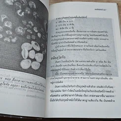 หนังสือ ธนบัตรสยาม รูปที่ 7