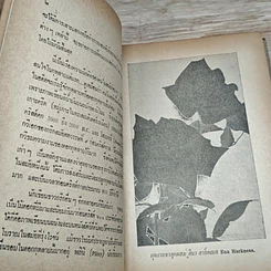 หนังสือ วิธีปลูกและผสมพันธุ์กุหลาบ รูปที่ 9