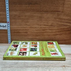 หนังสือ สมุนไพรเพื่อสุขภาพและความงาม รูปที่ 3