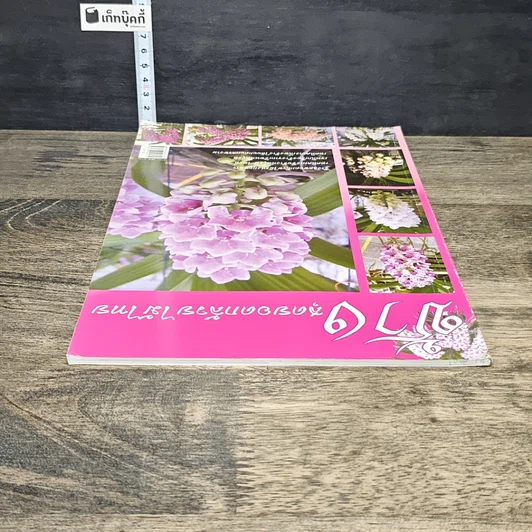 หนังสือ ช้าง สุดยอดกล้วยไม้ไทย รูปที่ 4