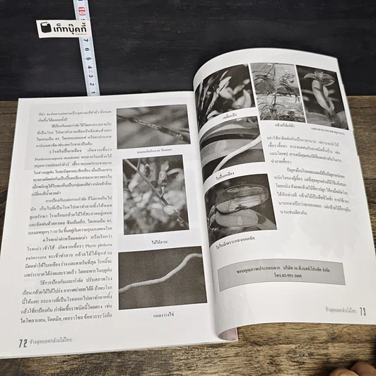 หนังสือ ช้าง สุดยอดกล้วยไม้ไทย รูปที่ 9
