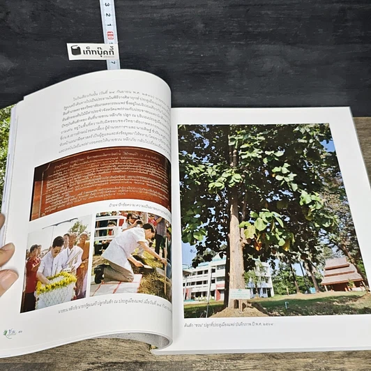 หนังสือ ชวนปลูกต้นไม้ รูปที่ 8