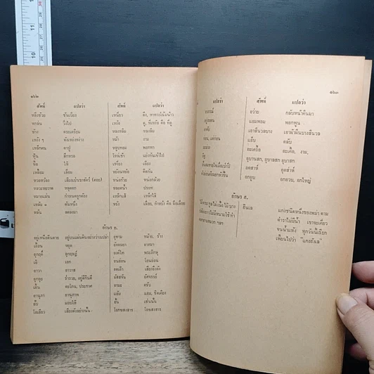 หนังสือ สารประวัติครูบาศรีวิชัย นักบุญแห่งลานนาไทย รูปที่ 11