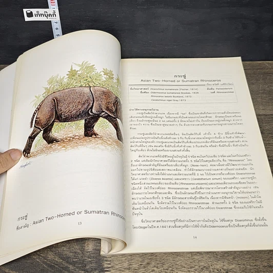 หนังสือ สัตว์ป่าสงวนของไทย รูปที่ 9