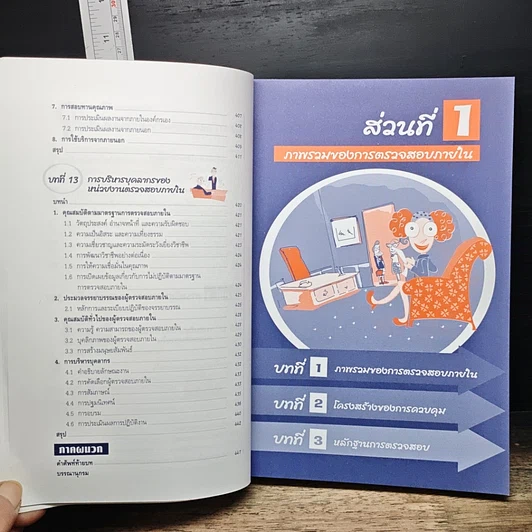 หนังสือ แนวทางการตรวจสอบภายใน รูปที่ 12