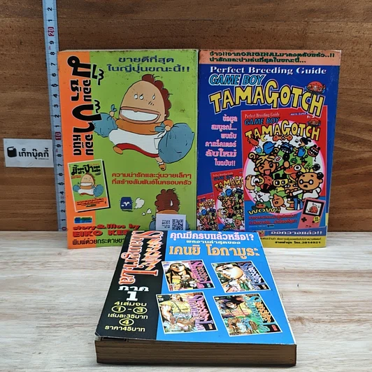 หนังสือ ฝ่าฝันวันเกียรติยศ 3 เล่มจบ รูปที่ 2
