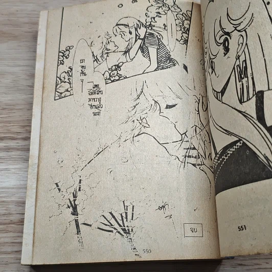 หนังสือ บอดี้การ์ดหลงยุค รูปที่ 8
