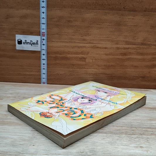 หนังสือ ความรักสีทอง รูปที่ 4
