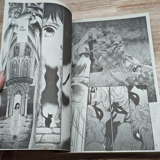 หนังสือ เพลิงแค้นพยาบาท รูปที่ 6