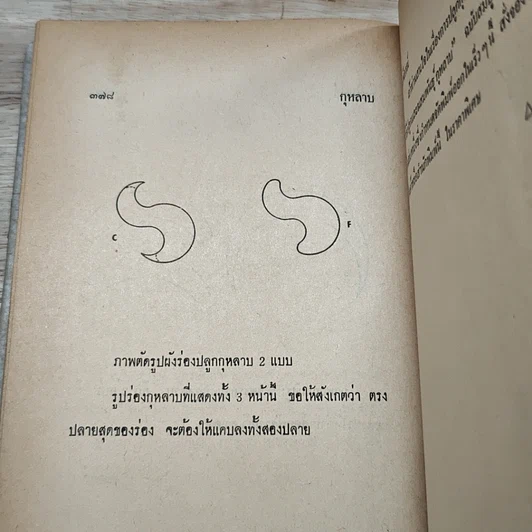 หนังสือ วิธีปลูกและผสมพันธุ์กุหลาบ รูปที่ 10
