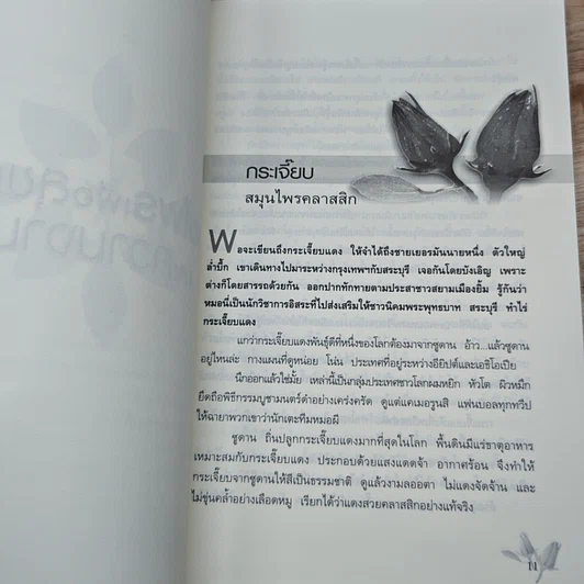 หนังสือ สมุนไพรเพื่อสุขภาพและความงาม รูปที่ 7