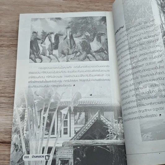 หนังสือ บ้านคนรวย The Rich Home รูปที่ 10