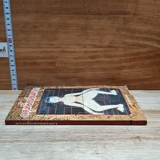 หนังสือ ลางเนื้อชอบลางยา รูปที่ 3