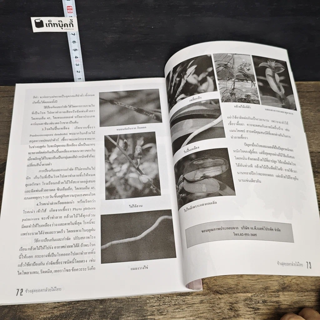 หนังสือ ช้าง สุดยอดกล้วยไม้ไทย รูปที่ 9