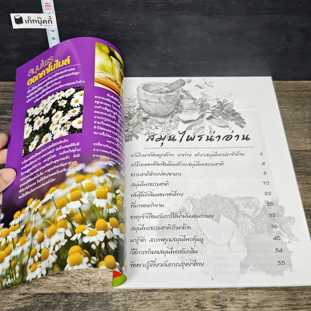 หนังสือ สมุนไพรธรรมชาติ เล่มที่ 19 รูปที่ 6