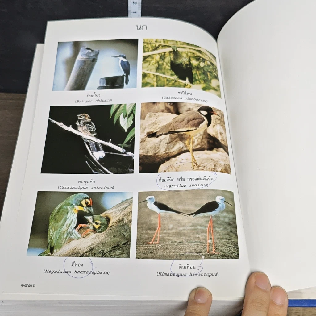 หนังสือ พจนานุกรม ฉบับราชบัณฑิตยสถาน พ.ศ.2542 รูปที่ 9