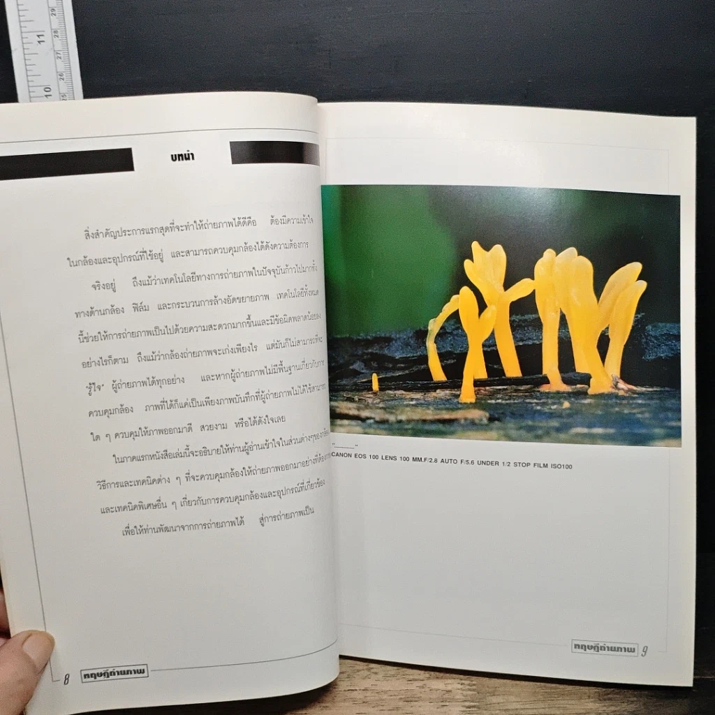 หนังสือ ทฤษฎีถ่ายภาพ รูปที่ 8