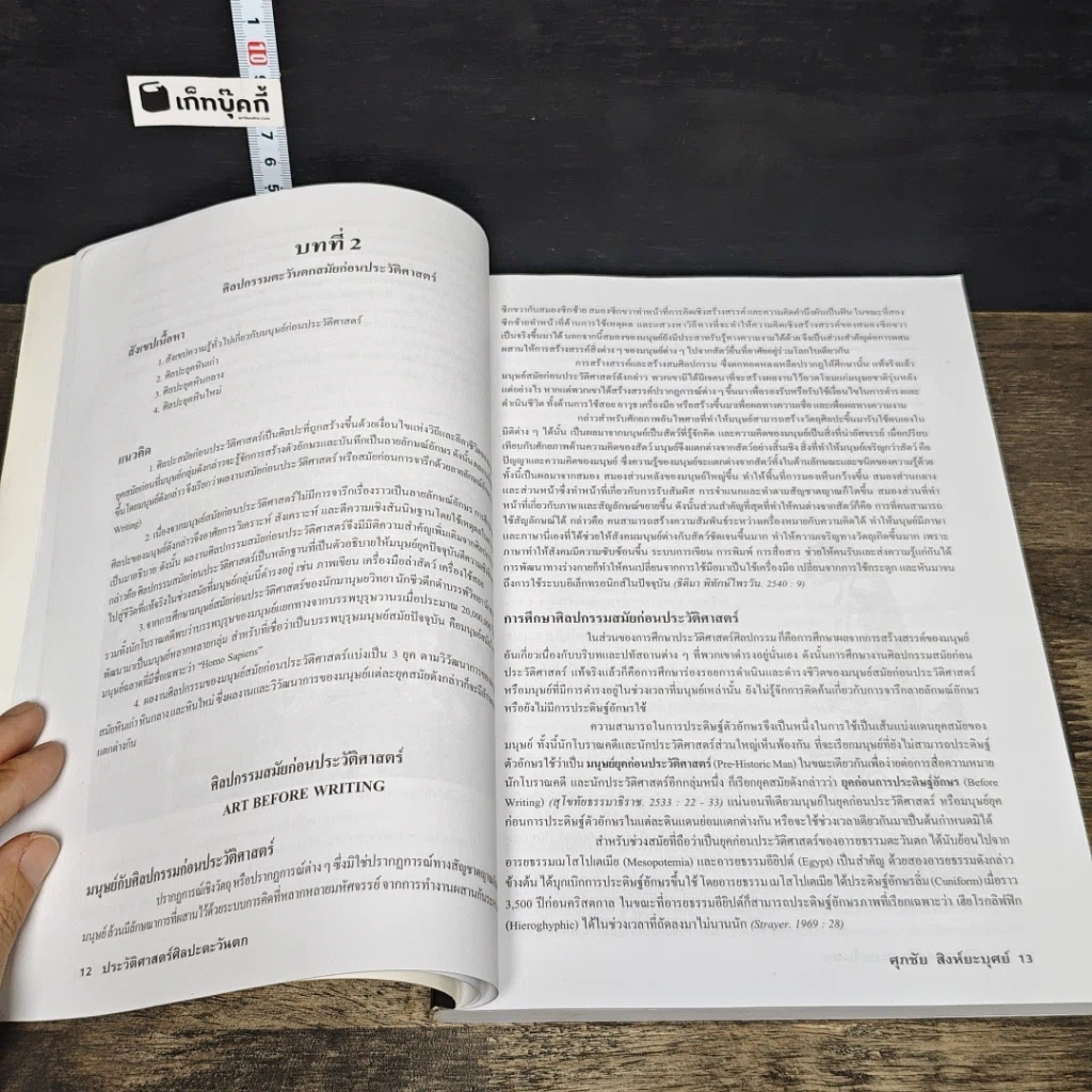 หนังสือ ประวัติศาสตร์ศิลปะตะวันตก ฉบับสมบูรณ์ รูปที่ 8