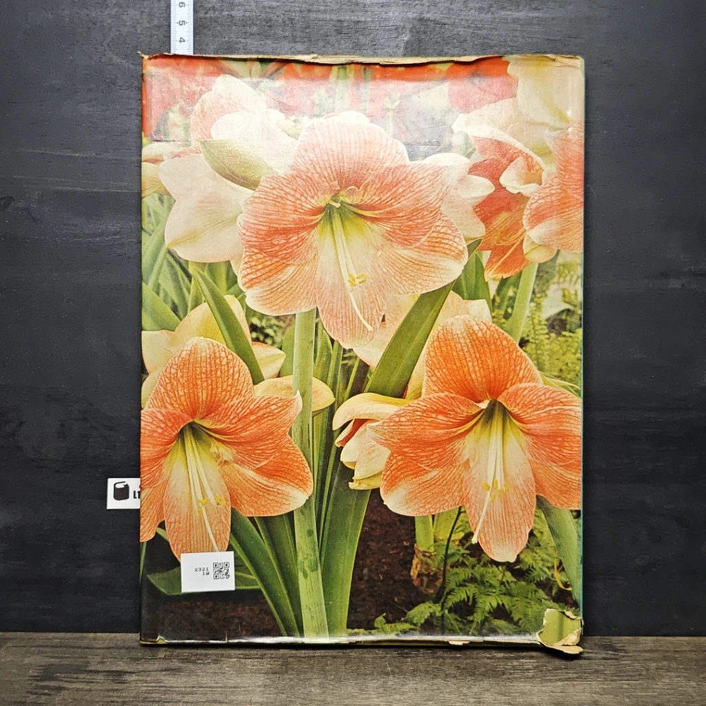 หนังสือ The Wonderful World of Indoor Plants รูปที่ 5