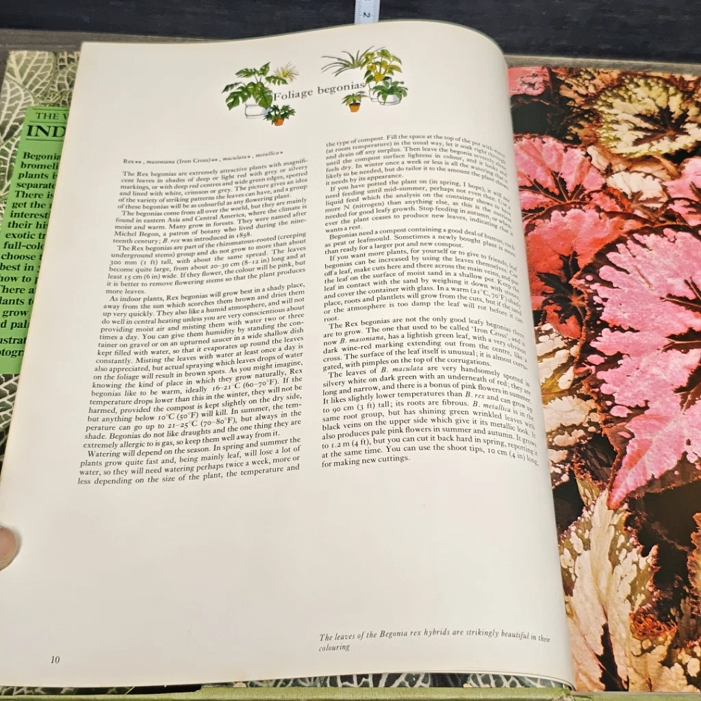หนังสือ The Wonderful World of Indoor Plants รูปที่ 8