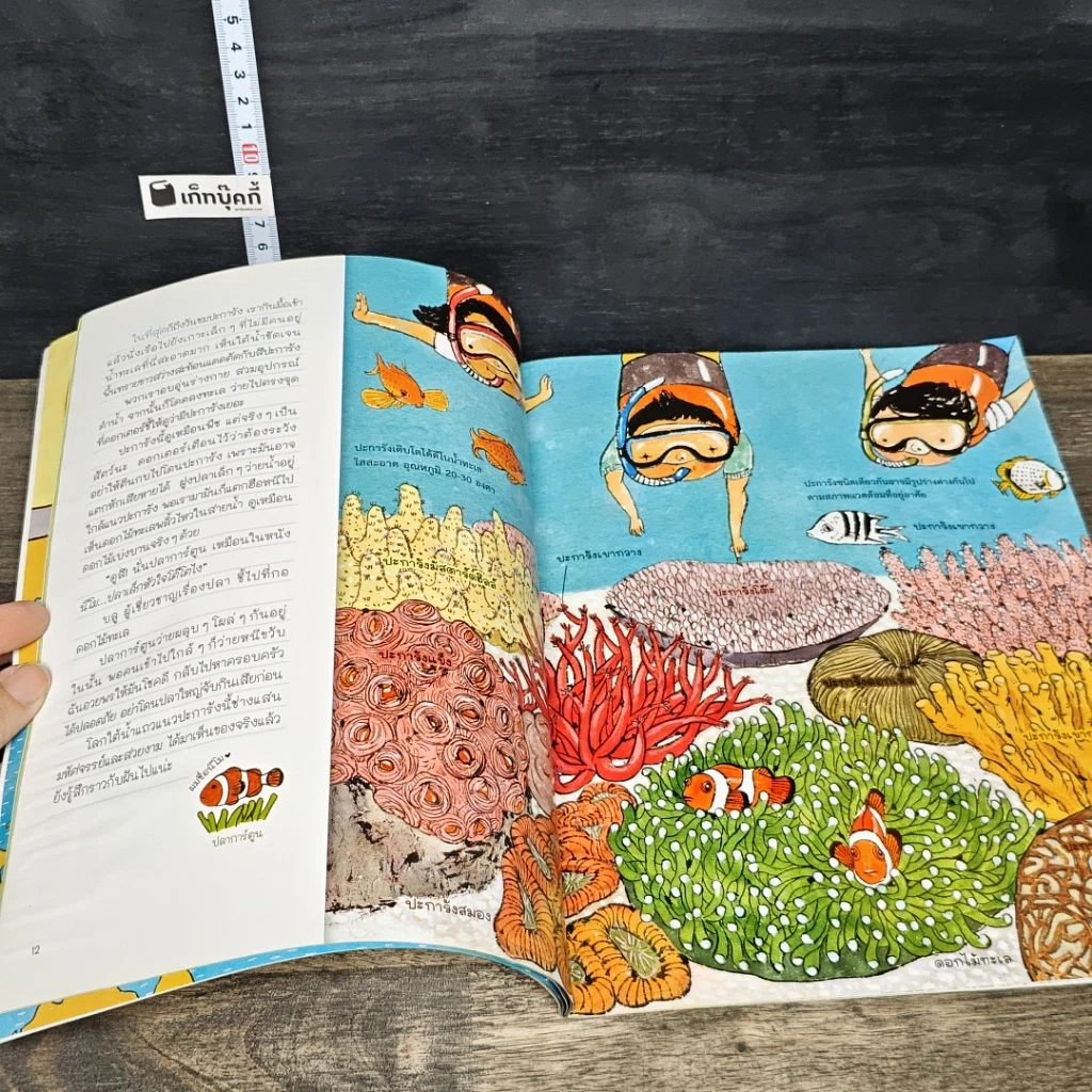 หนังสือ ไปกันไหม บุกโลกใต้ทะเลเขตร้อน รูปที่ 7