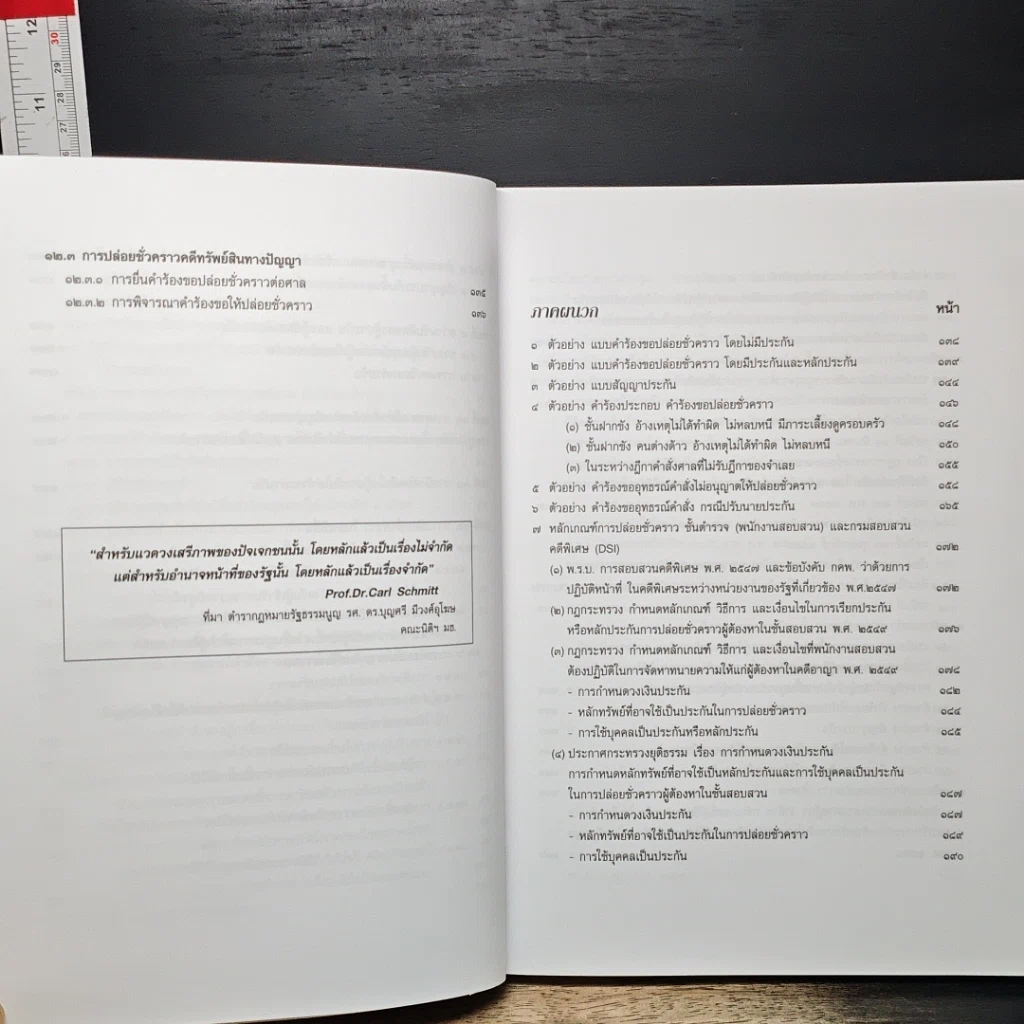 หนังสือ ทำอย่างไร...? จะได้ประกันตัวผู้ต้องหาหรือจำเลย รูปที่ 12