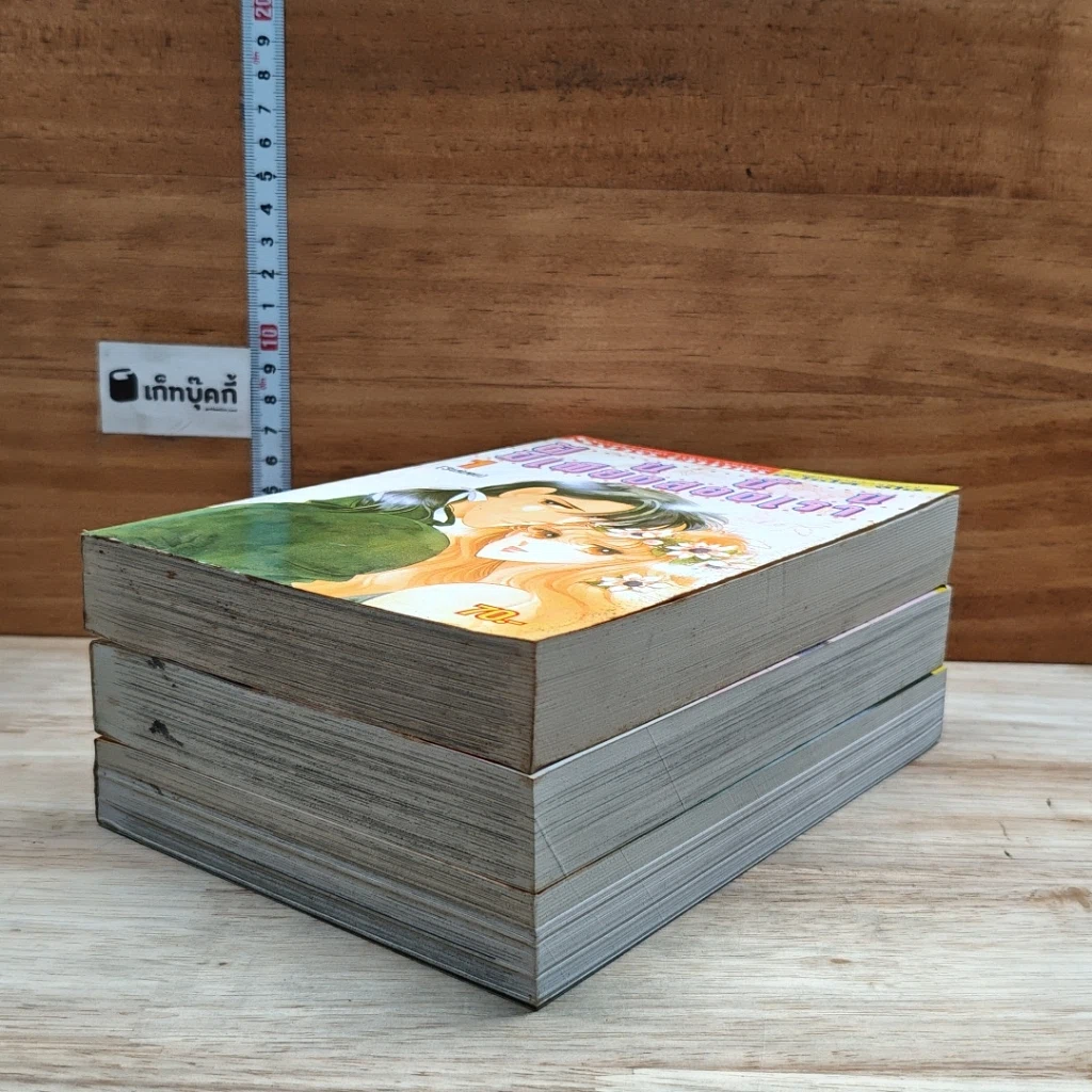 หนังสือ ฝันนั้นมีเพียงสองเรา 3 เล่มจบ รูปที่ 4