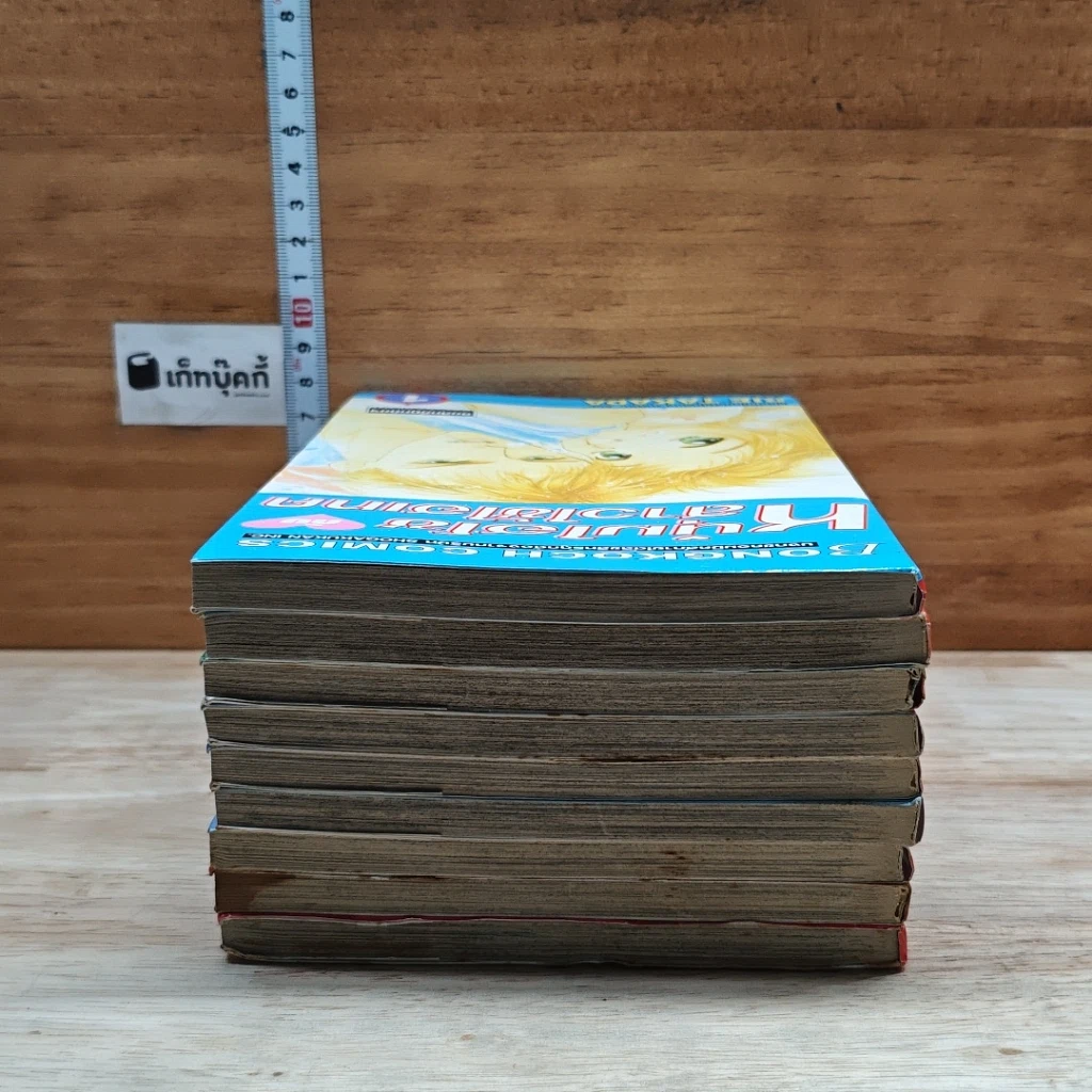 หนังสือ หนุ่มไฮโซกับสาวใช้ไฮเทค 9 เล่มจบ รูปที่ 4