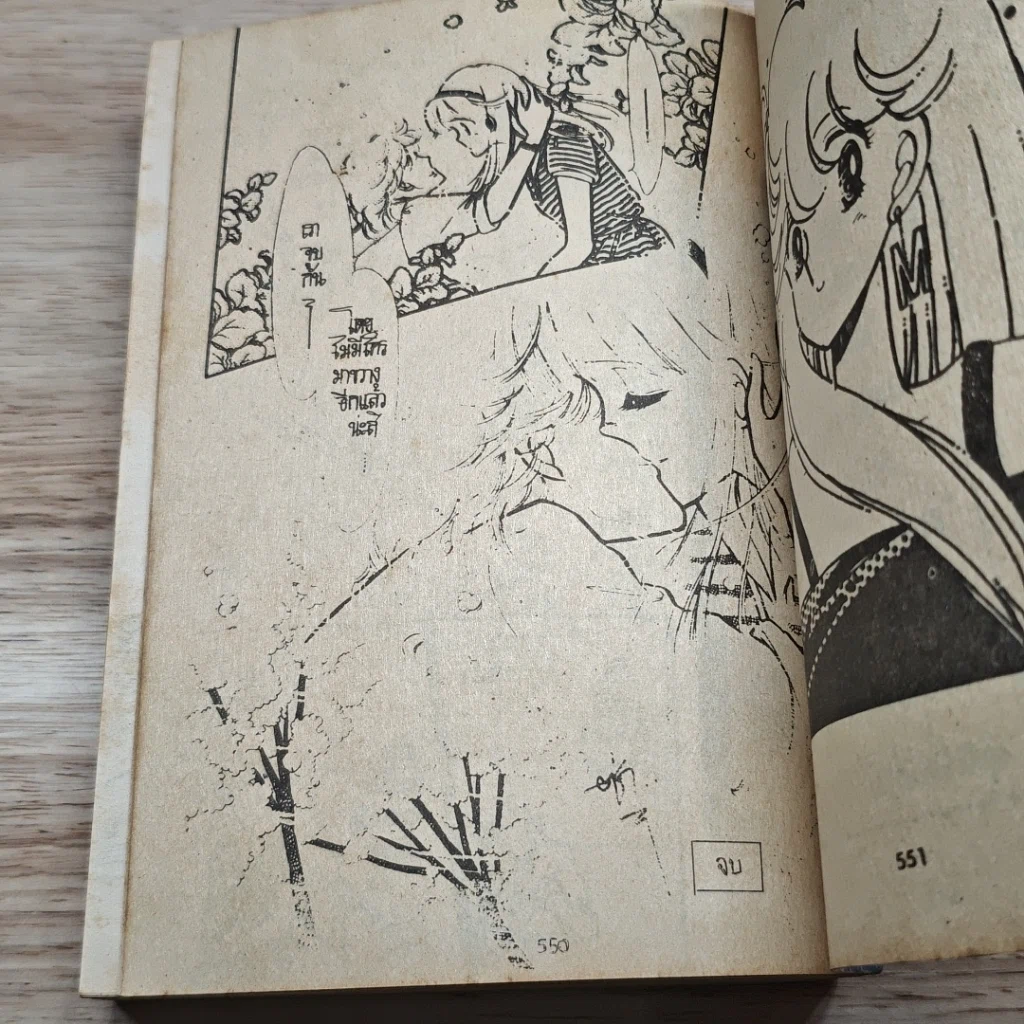 หนังสือ บอดี้การ์ดหลงยุค รูปที่ 8