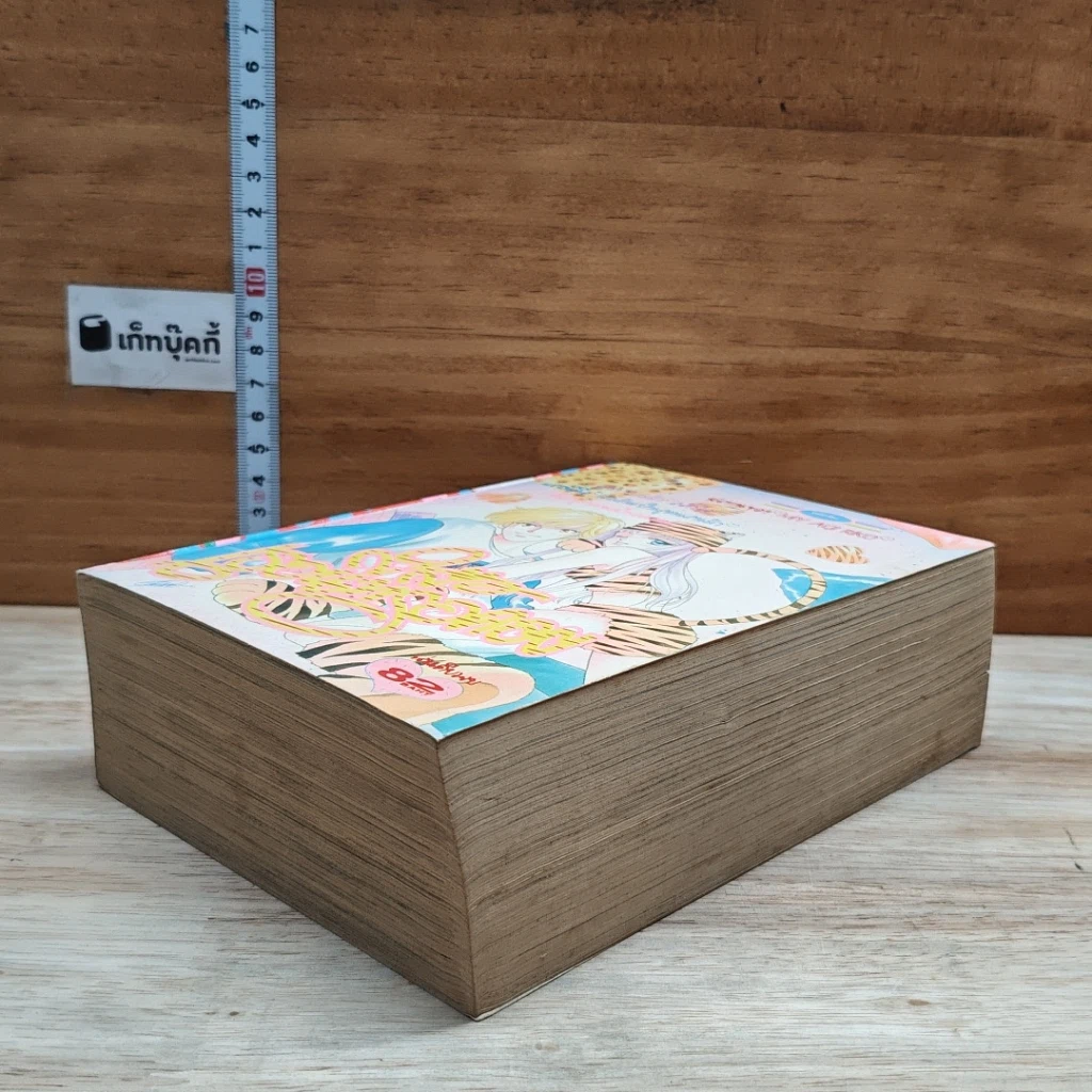 หนังสือ เธอนี้ที่รอคอย รูปที่ 4
