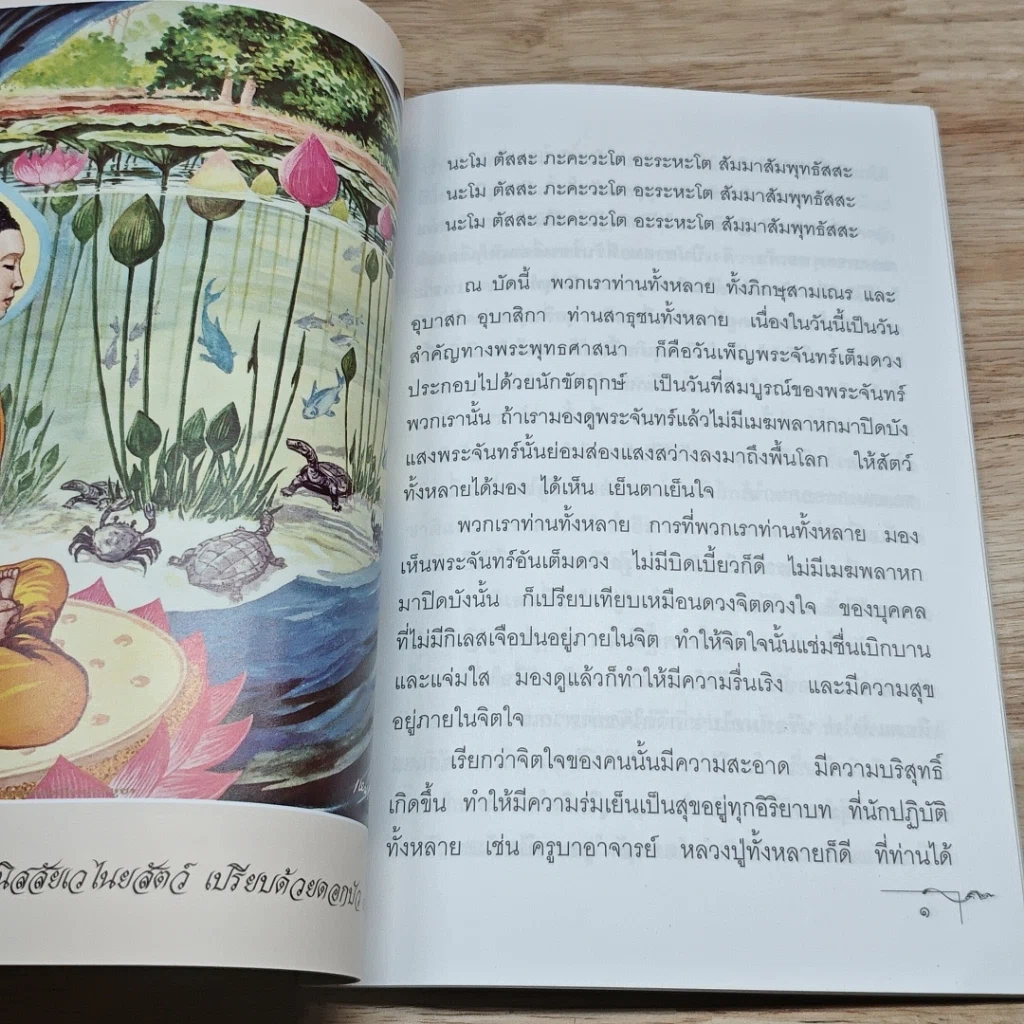 หนังสือ มองดูตนเอง รูปที่ 6