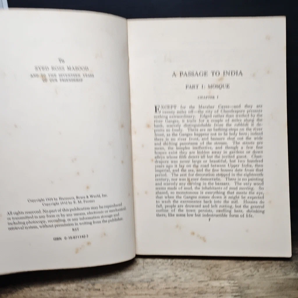 หนังสือ A Passage to India รูปที่ 7