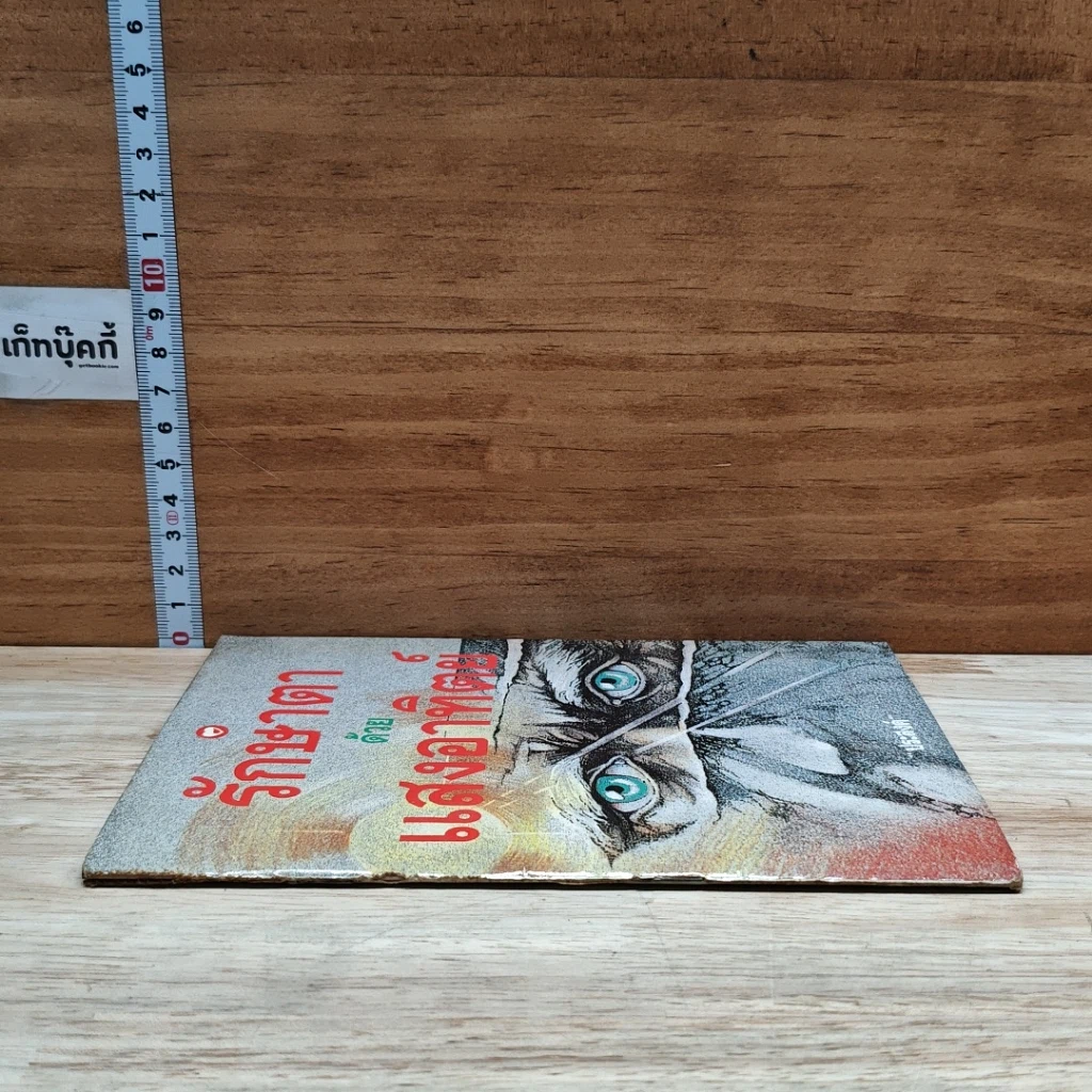 หนังสือ รักษาตาด้วยแสงอาทิตย์ รูปที่ 3