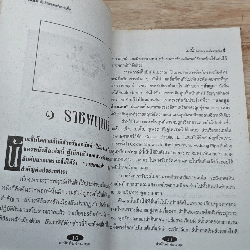หนังสือ ต้นไม้กับปริศนาแห่งเคล็ดความเชื่อ ความงามและความหมาย รูปที่ 7