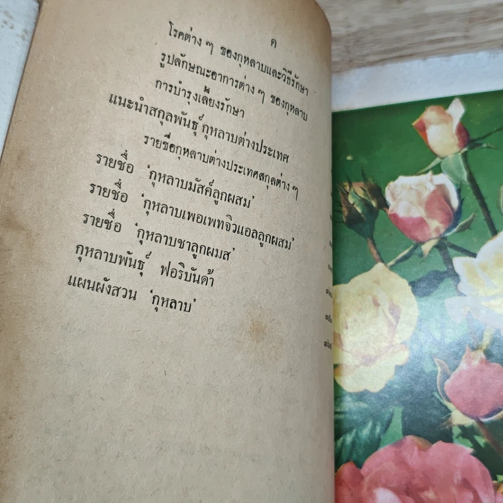 หนังสือ วิธีปลูกและผสมพันธุ์กุหลาบ รูปที่ 8
