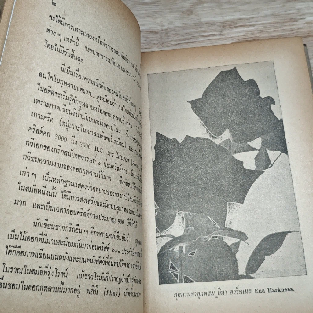 หนังสือ วิธีปลูกและผสมพันธุ์กุหลาบ รูปที่ 9