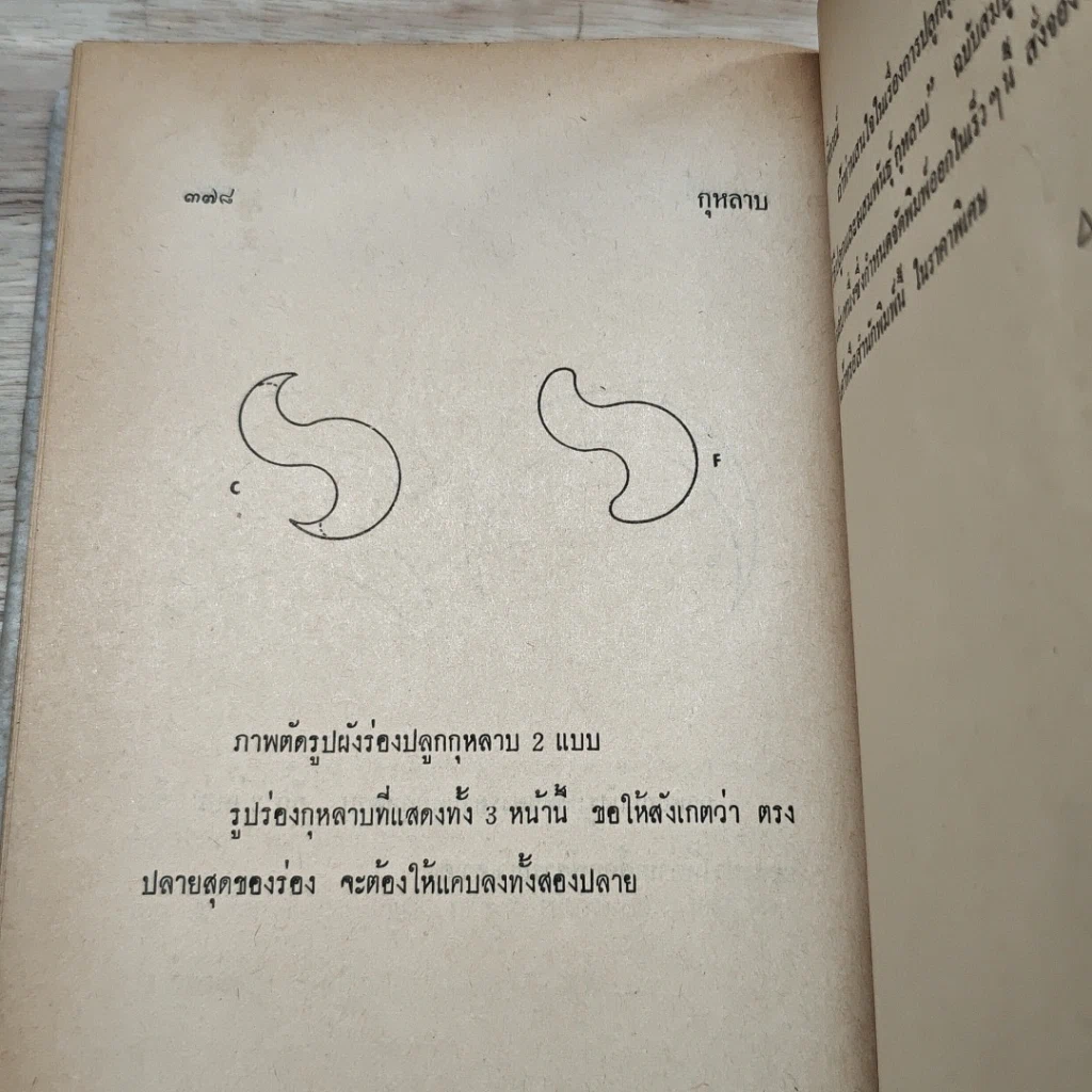 หนังสือ วิธีปลูกและผสมพันธุ์กุหลาบ รูปที่ 10