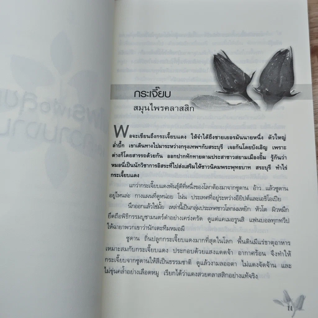 หนังสือ สมุนไพรเพื่อสุขภาพและความงาม รูปที่ 7