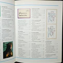 หนังสือ พื้นฐานแห่งกายมนุษย์ รูปที่ 10