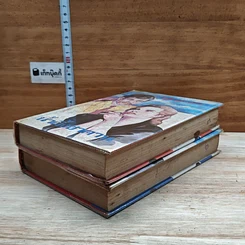 หนังสือ น้ำผึ้งซาตาน 2 เล่มจบ รูปที่ 4