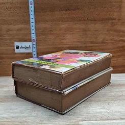 หนังสือ สลักจิต 2 เล่มจบ รูปที่ 4