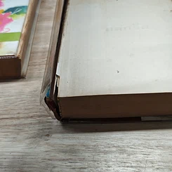 หนังสือ สลักจิต 2 เล่มจบ รูปที่ 8