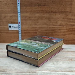 หนังสือ หนี้ค้างใจ 2 เล่มจบ รูปที่ 4